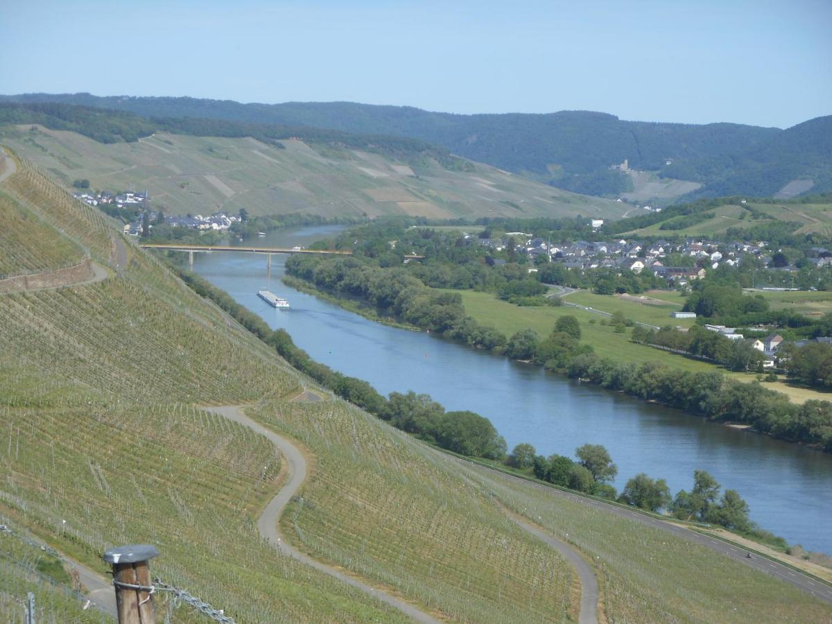 فيلا برونبيبيرغفي Ferienhaus Mosel المظهر الخارجي الصورة