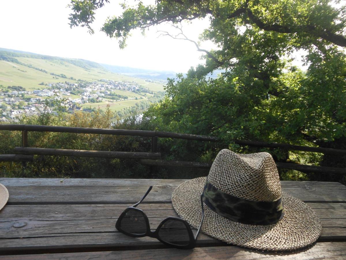 فيلا برونبيبيرغفي Ferienhaus Mosel المظهر الخارجي الصورة