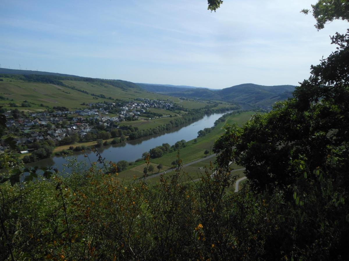 فيلا برونبيبيرغفي Ferienhaus Mosel المظهر الخارجي الصورة
