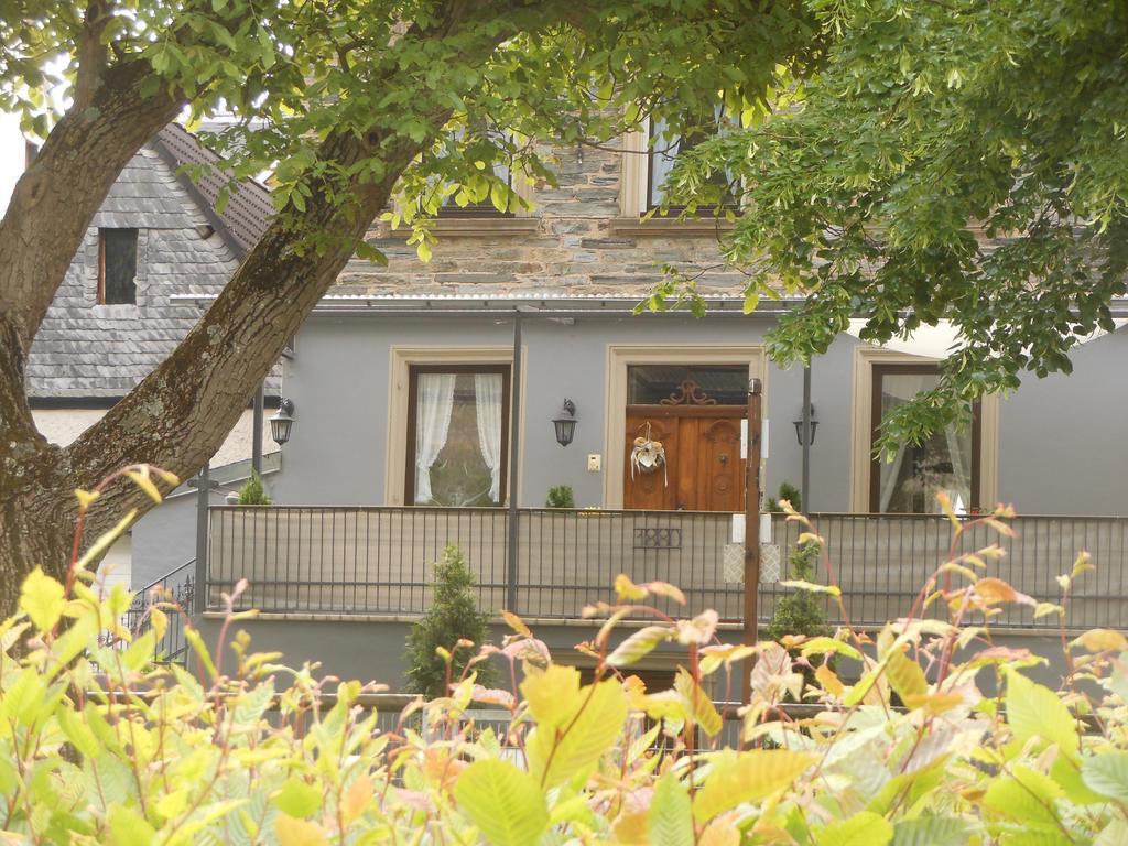 فيلا برونبيبيرغفي Ferienhaus Mosel المظهر الخارجي الصورة